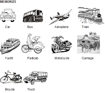 Latihan Soal Bahasa Inggris Kelas 2 Tentang Transportasi Ini Ternyata Sangat Mudah