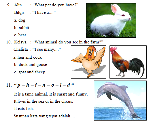 Rahasia Pintar Menjawab Soal Bahasa Inggris Kelas 2 Tentang Animal Agar Anak Langsung Bisa Rahasia Pintar Menjawab Soal Bahasa Inggris Kelas 2 Tentang Animal Agar Anak Langsung Bisa