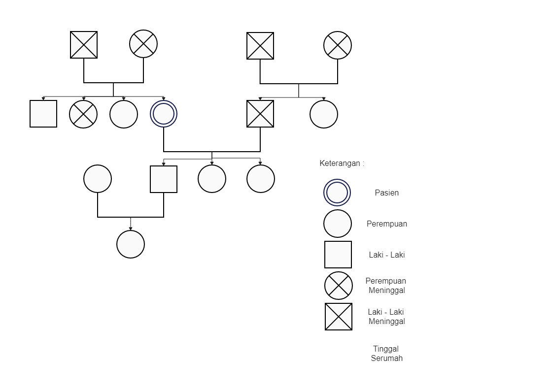 Ternyata Ini Cara Membuat Genogram Keluarga di Word Mudah Diikuti di 2026